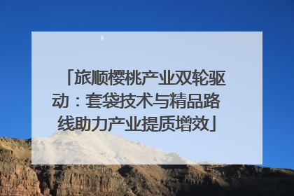 旅顺樱桃产业双轮驱动：套袋技术与精品路线助力产业提质增效