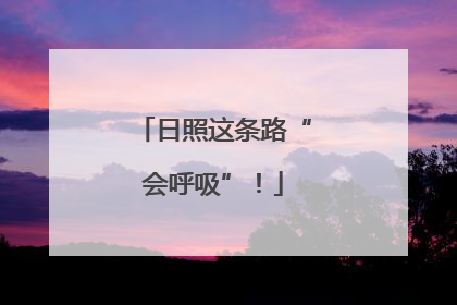 日照这条路“会呼吸”！