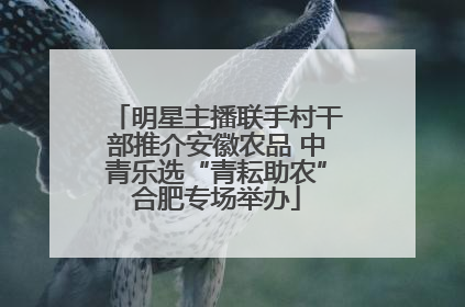 明星主播联手村干部推介安徽农品 中青乐选“青耘助农”合肥专场举办