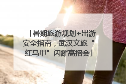 暑期旅游规划+出游安全指南，武汉文旅“红马甲”闪耀高招会