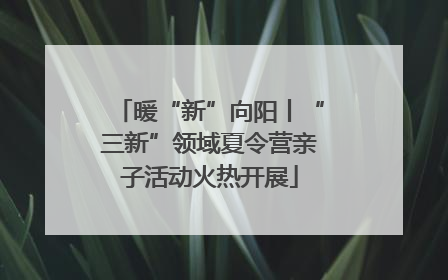 暖“新”向阳丨“三新”领域夏令营亲子活动火热开展