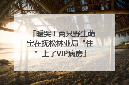 暖哭！两只野生萌宝在抚松林业局“住”上了VIP病房