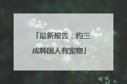 最新报告：约三成韩国人有宠物