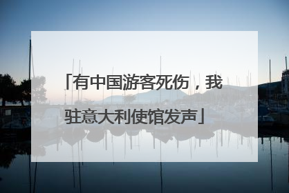 有中国游客死伤，我驻意大利使馆发声