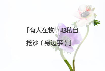 有人在牧草地私自挖沙（身边事）