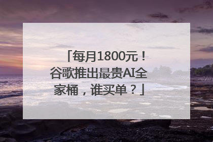 每月1800元！谷歌推出最贵AI全家桶，谁买单？
