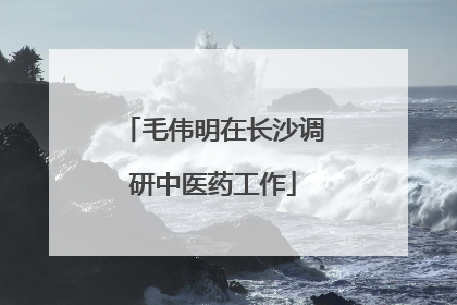 毛伟明在长沙调研中医药工作