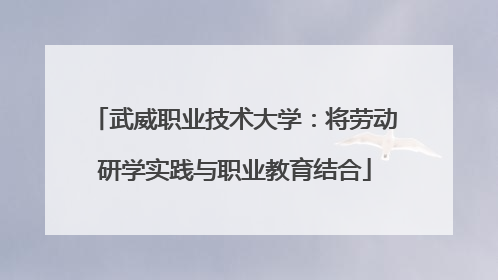 武威职业技术大学：将劳动研学实践与职业教育结合