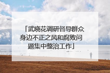 武晓花调研督导群众身边不正之风和腐败问题集中整治工作