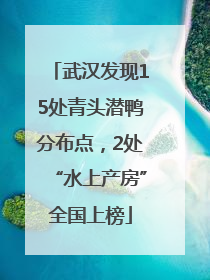 武汉发现15处青头潜鸭分布点，2处“水上产房”全国上榜