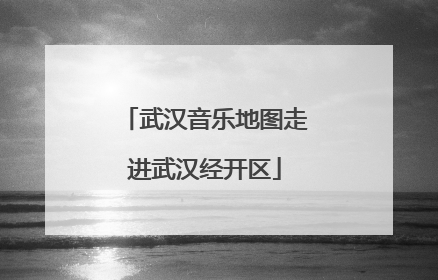 武汉音乐地图走进武汉经开区