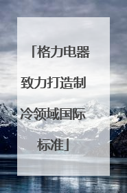 格力电器致力打造制冷领域国际标准