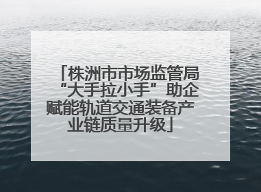 株洲市市场监管局“大手拉小手”助企赋能轨道交通装备产业链质量升级