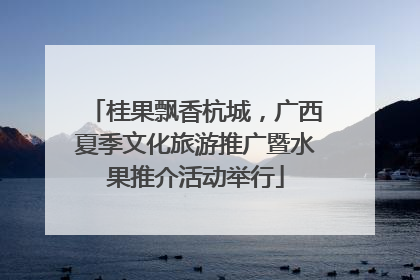 桂果飘香杭城，广西夏季文化旅游推广暨水果推介活动举行