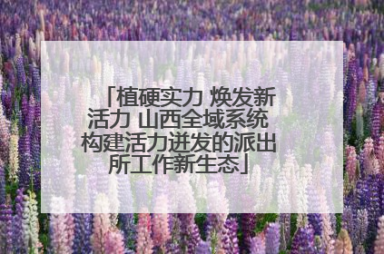 植硬实力 焕发新活力 山西全域系统构建活力迸发的派出所工作新生态