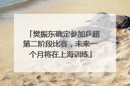 樊振东确定参加乒超第二阶段比赛，未来一个月将在上海训练