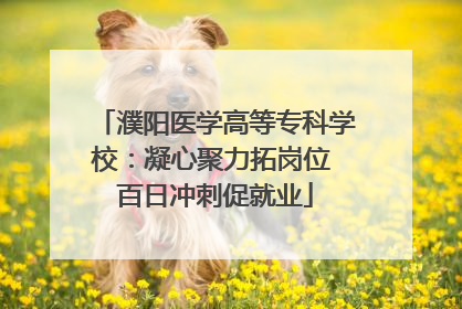 濮阳医学高等专科学校：凝心聚力拓岗位 百日冲刺促就业