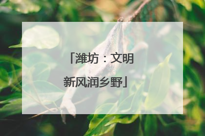 潍坊：文明新风润乡野