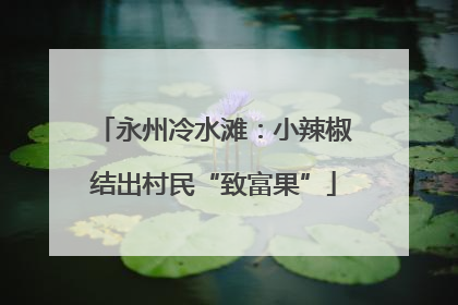 永州冷水滩：小辣椒结出村民“致富果”