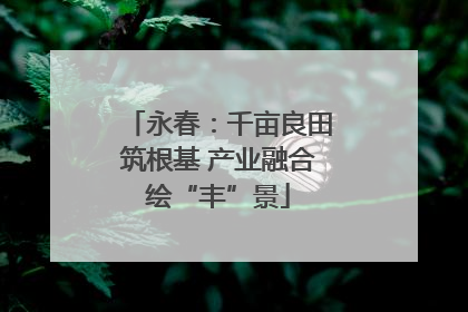 永春：千亩良田筑根基 产业融合绘“丰”景