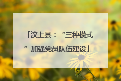 汶上县：“三种模式”加强党员队伍建设