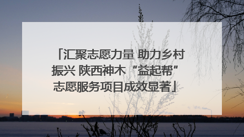 汇聚志愿力量 助力乡村振兴 陕西神木“益起帮”志愿服务项目成效显著