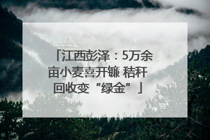江西彭泽：5万余亩小麦喜开镰 秸秆回收变“绿金”