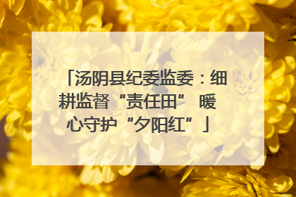 汤阴县纪委监委：细耕监督“责任田” 暖心守护“夕阳红”