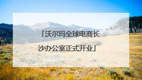 沃尔玛全球电商长沙办公室正式开业