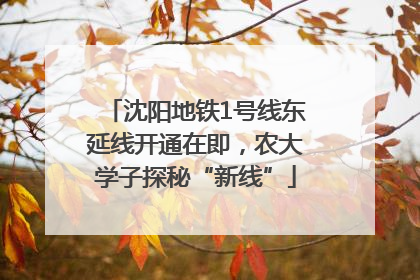 沈阳地铁1号线东延线开通在即，农大学子探秘“新线”