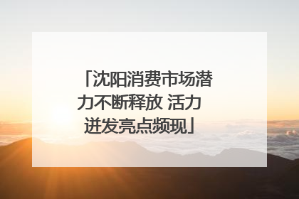 沈阳消费市场潜力不断释放 活力迸发亮点频现