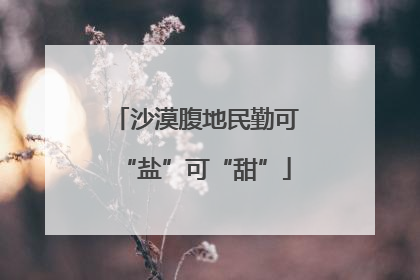 沙漠腹地民勤可“盐”可“甜”