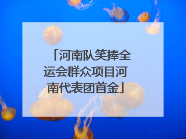河南队笑捧全运会群众项目河南代表团首金