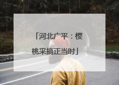 河北广平：樱桃采摘正当时