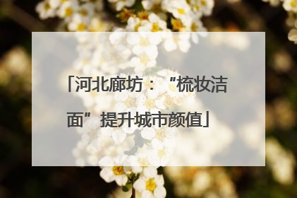 河北廊坊：“梳妆洁面”提升城市颜值