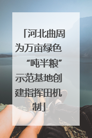 河北曲周为万亩绿色“吨半粮”示范基地创建指挥田机制