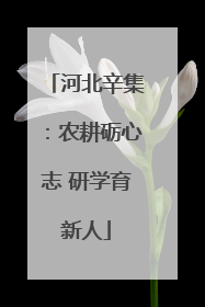 河北辛集：农耕砺心志 研学育新人
