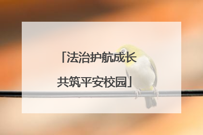 法治护航成长 共筑平安校园