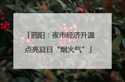 泗阳：夜市经济升温 点亮夏日“烟火气”