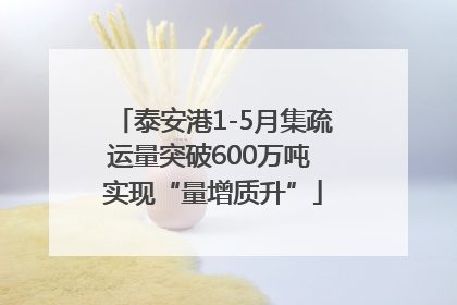 泰安港1-5月集疏运量突破600万吨 实现“量增质升”