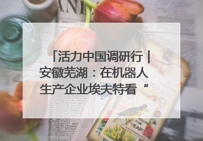活力中国调研行｜安徽芜湖：在机器人生产企业埃夫特看“中国智造”