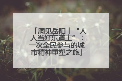 洞见岳阳丨“人人当好东道主”：一次全民参与的城市精神重塑之旅