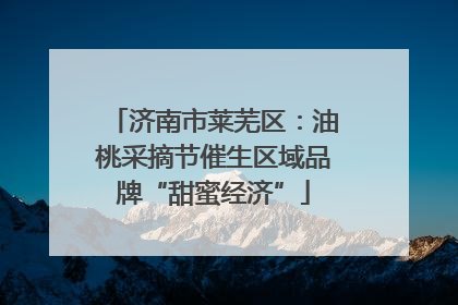 济南市莱芜区：油桃采摘节催生区域品牌“甜蜜经济”