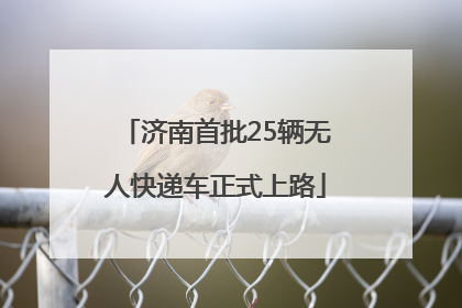 济南首批25辆无人快递车正式上路
