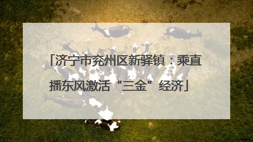 济宁市兖州区新驿镇：乘直播东风激活“三金”经济