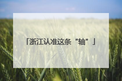 浙江认准这条“轴”