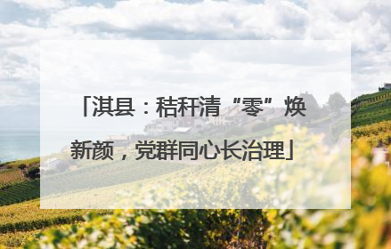 淇县：秸秆清“零”焕新颜，党群同心长治理