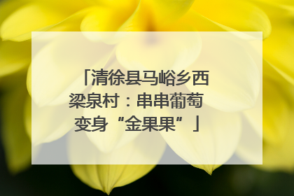 清徐县马峪乡西梁泉村：串串葡萄变身“金果果”