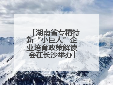 湖南省专精特新“小巨人”企业培育政策解读会在长沙举办