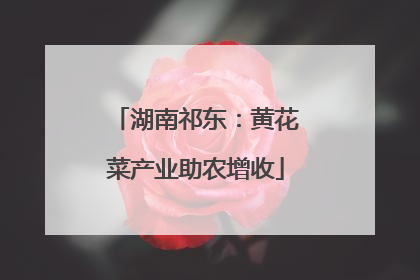 湖南祁东：黄花菜产业助农增收
